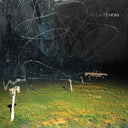 Yo La Tengo - This Stupid World | Mint (M) Mint (M)