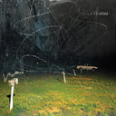 This Stupid World [CD]