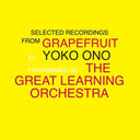 Yoko Ono/The Great Learning Orchestra - Selected Recordings From Grapefruit (2xLP) | Mint (M) Mint (M)