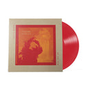 Young Mister - This Is Where We Are Now (RED VINYL) | Mint (M) Mint (M)