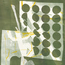 Zander Raymond - To Have Several Lives (GREEN VINYL) [Vinyl]