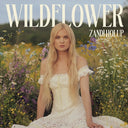 Zandi Holup - Wildflowers (Clear/Pressed Flowers Vinyl) | Mint (M) Mint (M)