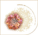 ZAVOLOKA & AGF - Nature Never Produces The Same Beat Twice |