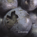 Alvin Lucier [Vinyl]
