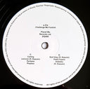 Challenge Me Foolish (2xVINYL) | Mint (M) Mint (M)