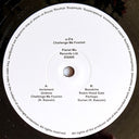 Challenge Me Foolish (2xVINYL) | Mint (M) Mint (M)
