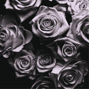 With Love [Vinyl]